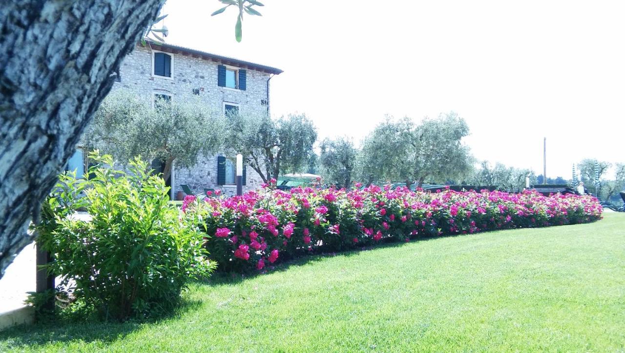 Agriturismo Le Ginestre 拉齐塞 外观 照片
