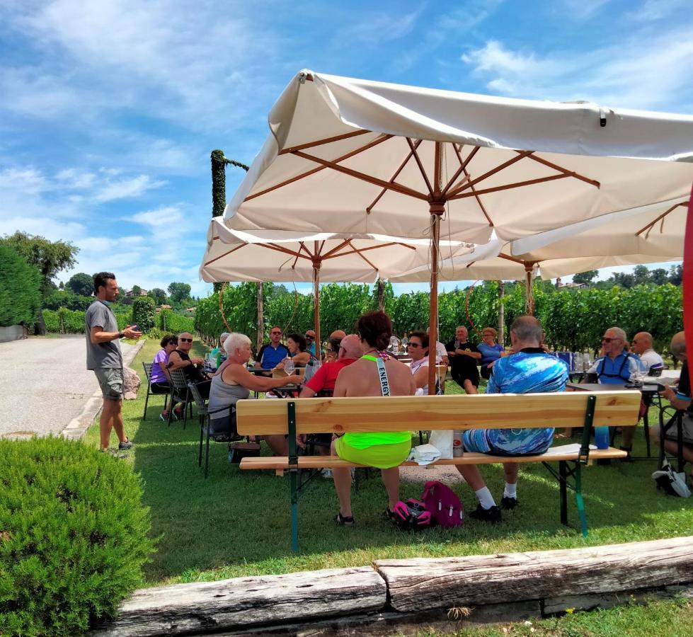 Agriturismo Le Ginestre 拉齐塞 外观 照片